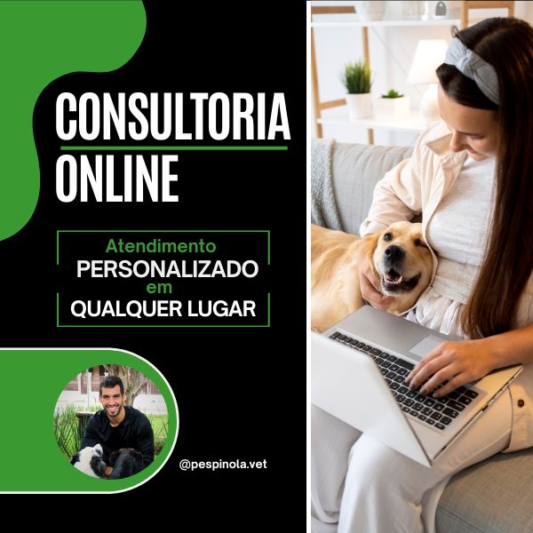 Consultoria Online