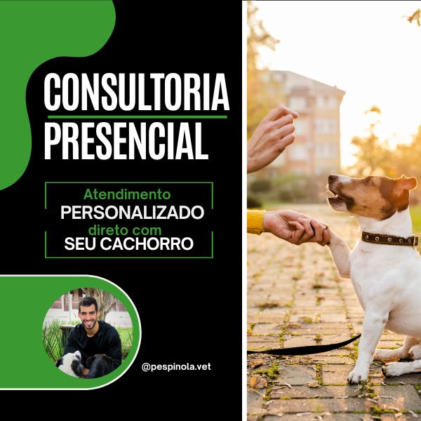 Consultoria Presencial