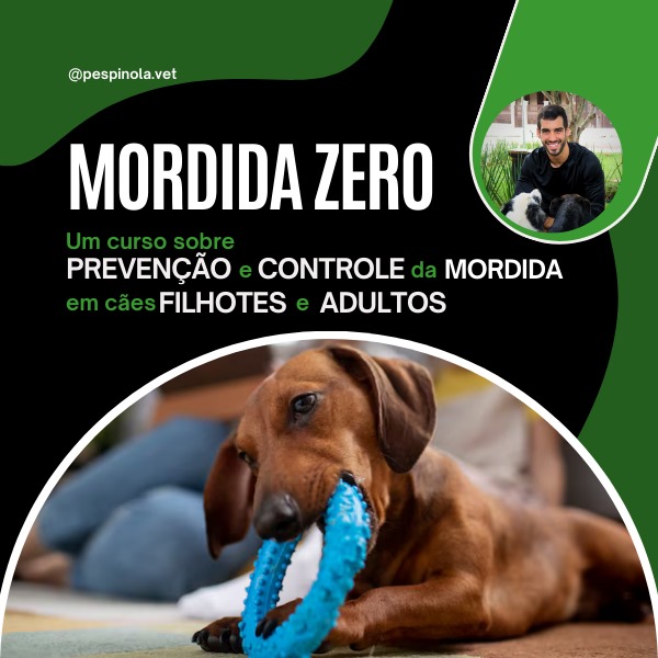 Curso Mordida Zero