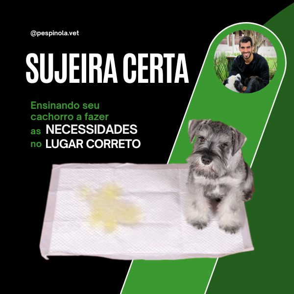Curso Sujeira Certa